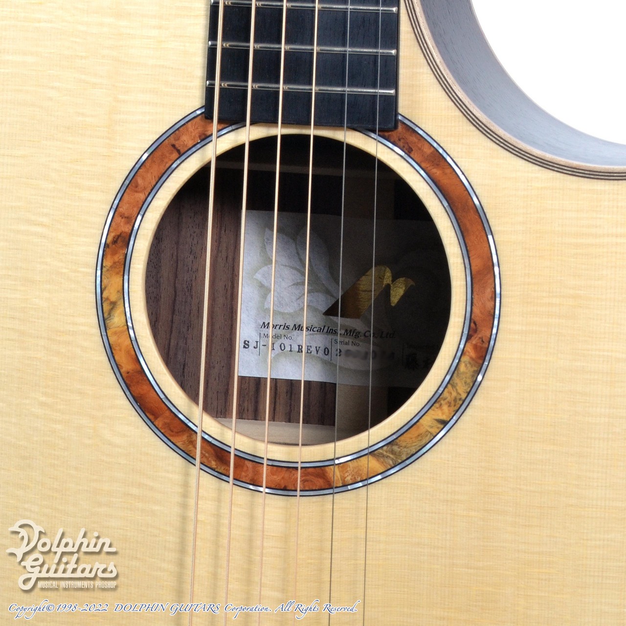 Morris SJ-101 REVO （新品）【楽器検索デジマート】