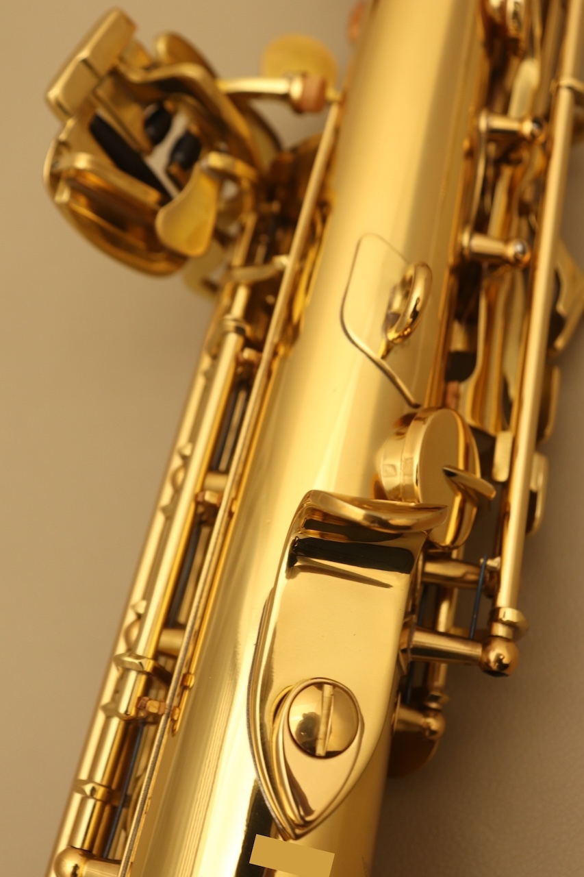 Antigua Standard GL 【新品】【アンティグア】【ソプラノ