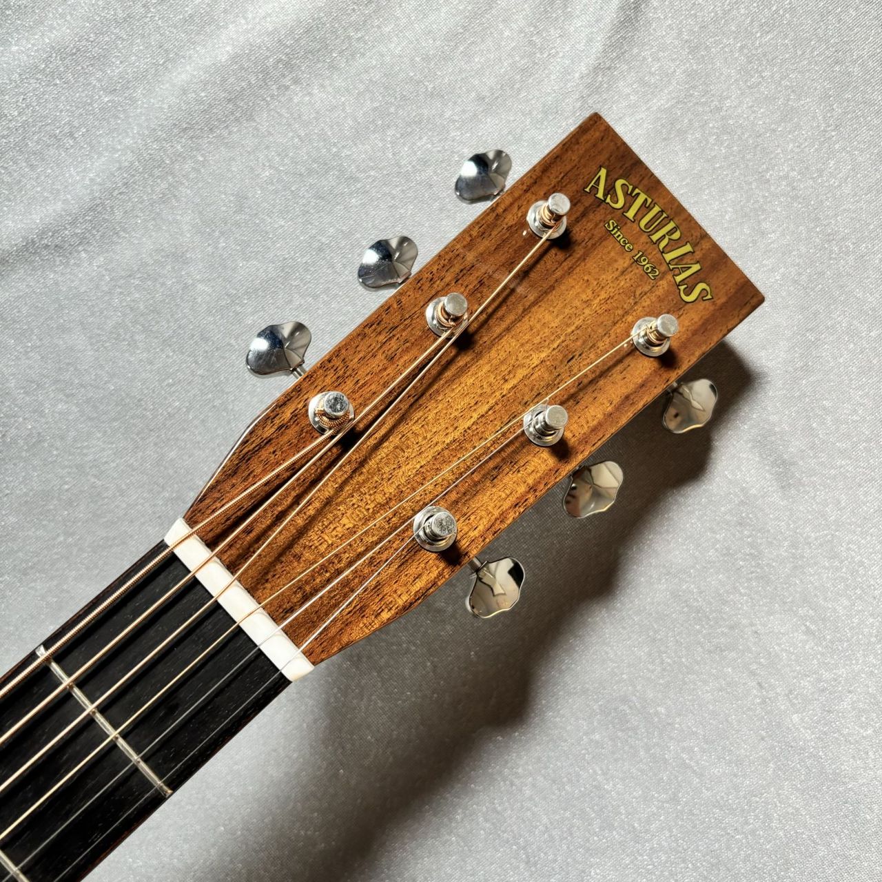 ASTURIAS ソロスタンダード LTD/FM（新品/送料無料）【楽器検索