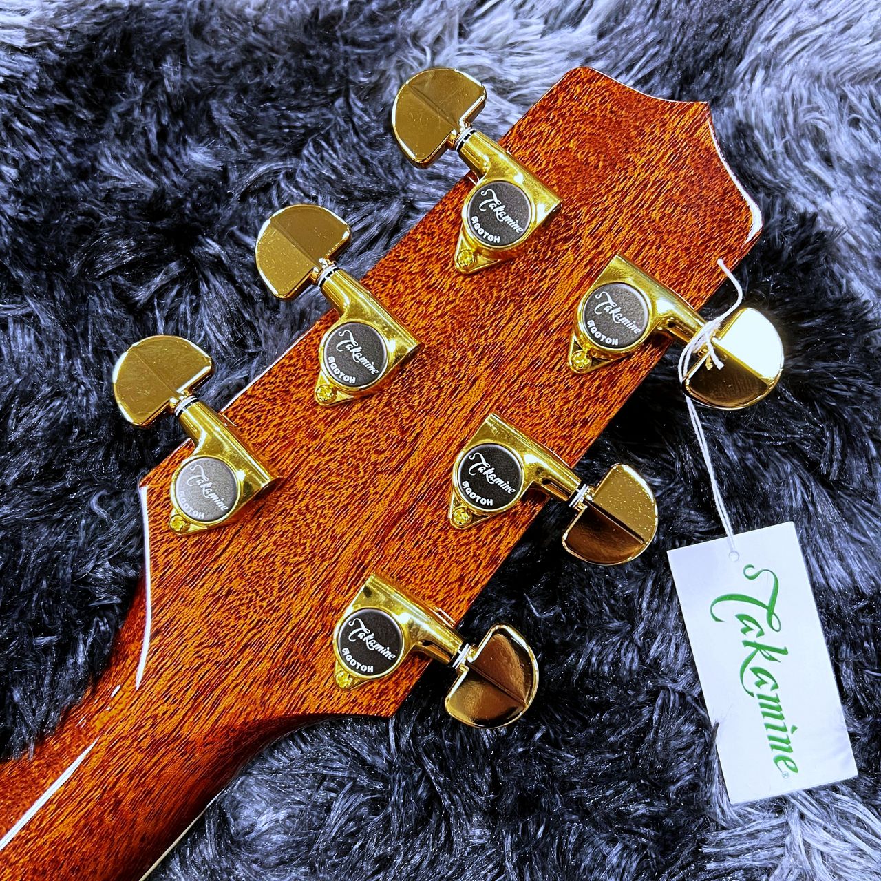 Takamine FPT531KC N 【2025年製】【日本製】【エレアコ】【ワイルドな