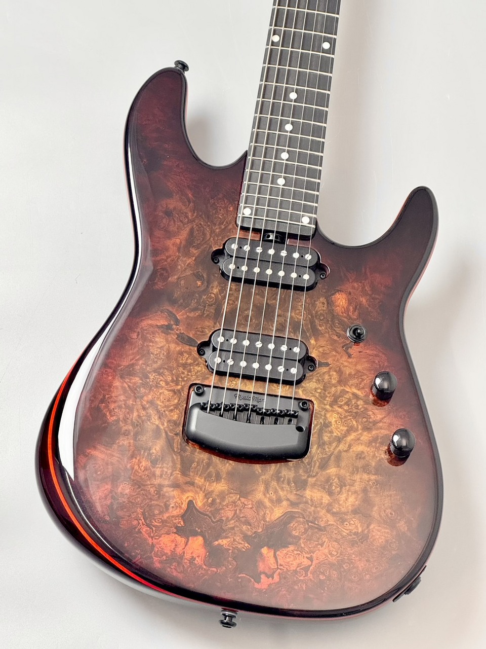 最終値下！ ステンレスジャンボフレット打替済 Alfa Tone ギター MUSIC MAN 【死の山】Jason Richardson 7-String Cutlass HT Death