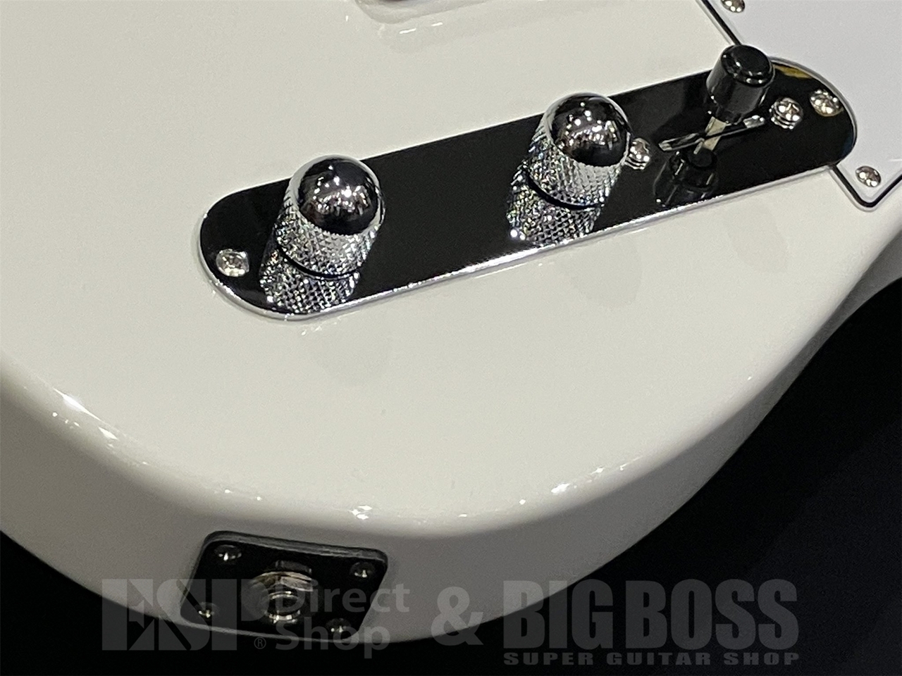 FUJIGEN(FGN) BCTE100RBD / Snow White（新品/送料無料）【楽器