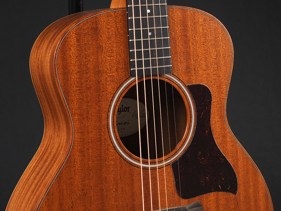 Taylor GS Mini Mahogany（新品/送料無料）【楽器検索デジマート】