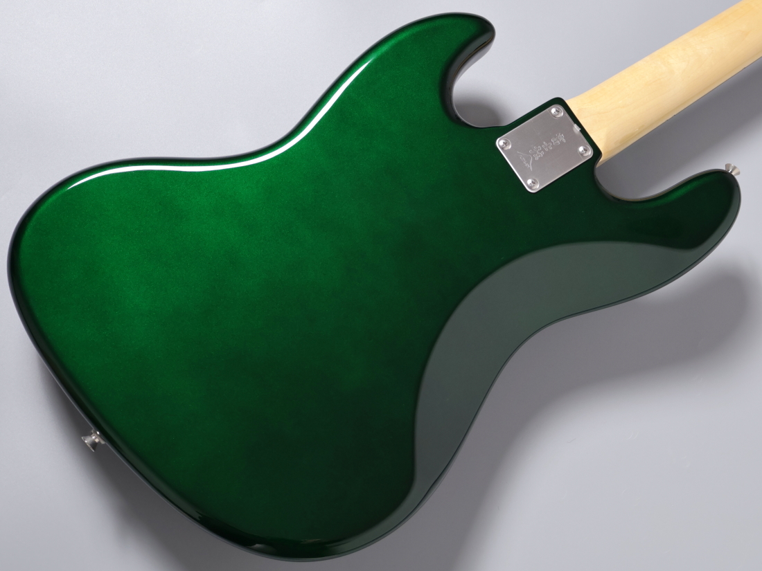 FUJIGEN(FGN) NJB100RAL -Candy Apple Green-【4.20kg】（新品特価