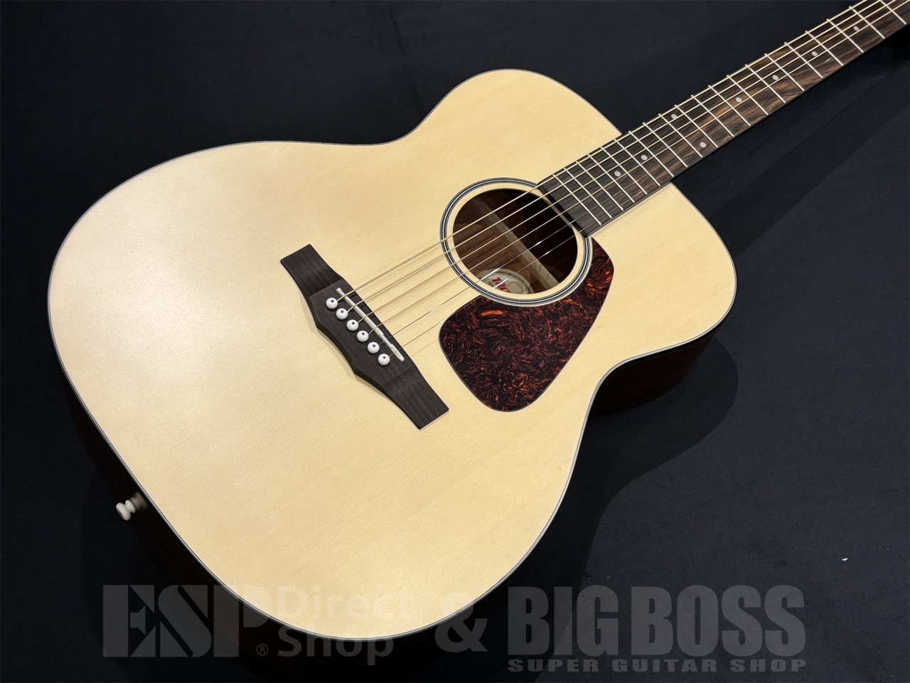 Morris F-1（新品/送料無料）【楽器検索デジマート】