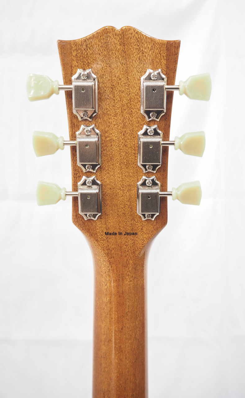 Tokai LS101S GT 【日本製】（新品/送料無料）【楽器検索デジマート】