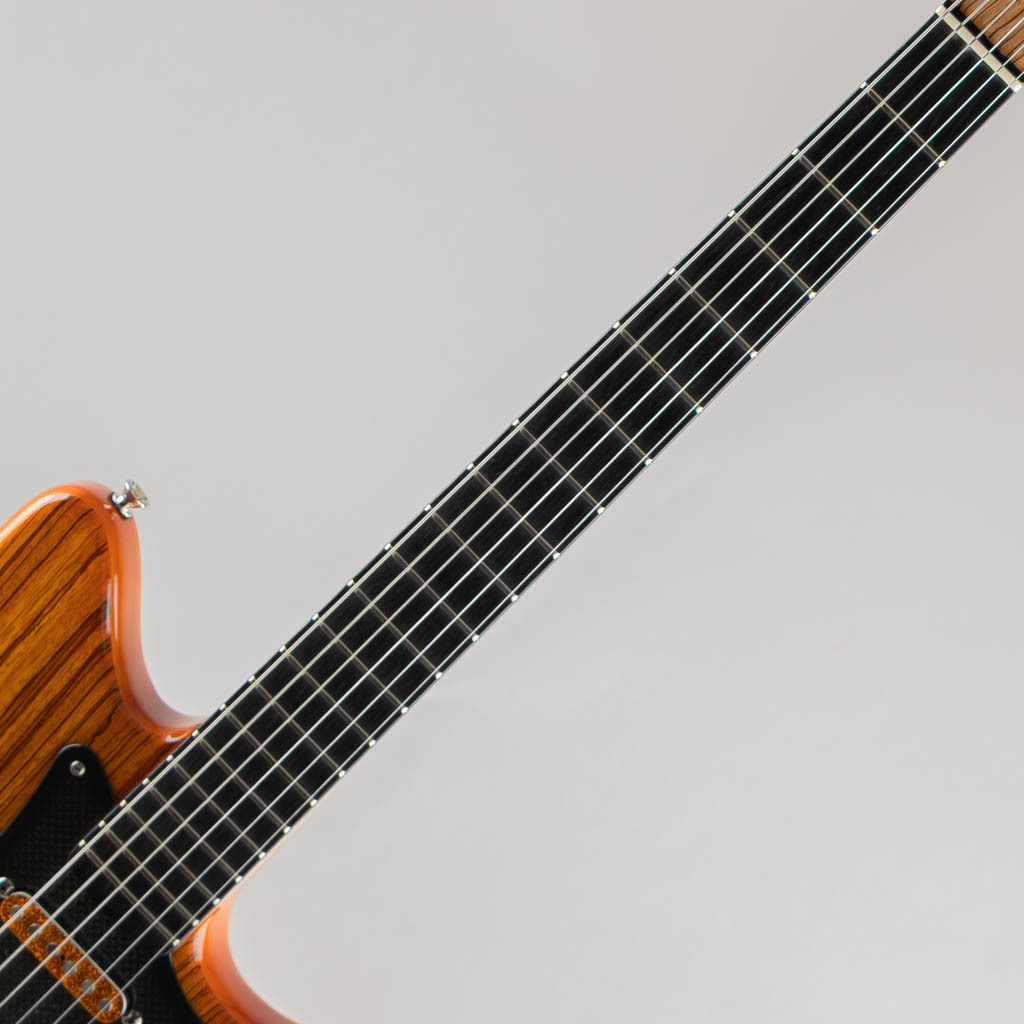 Fender Custom Shop MBS Custom Toronado Zebrawood Top by Jason