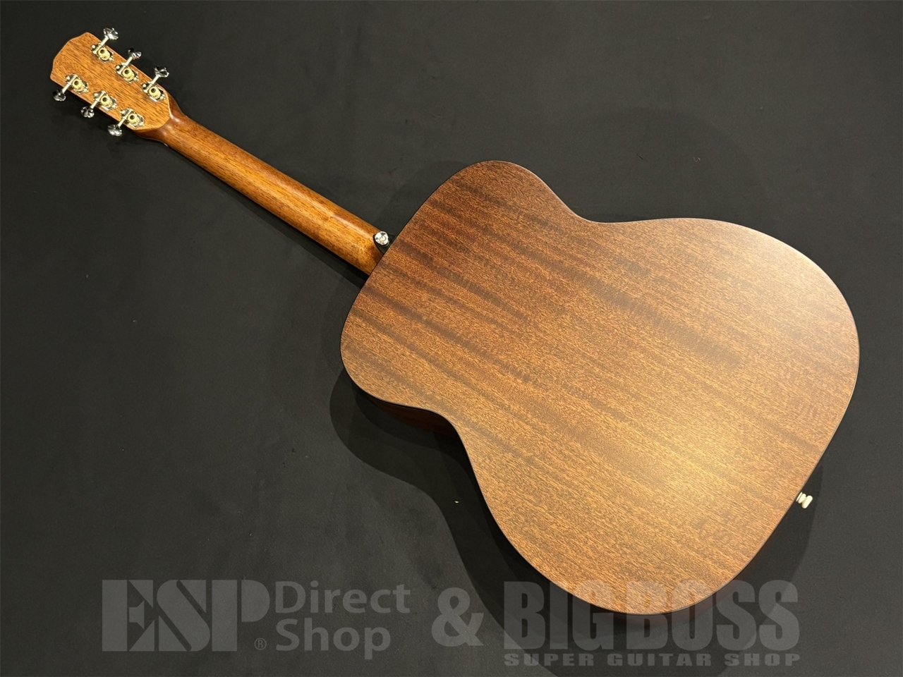 MORRIS F-01 2005年 極美品コンパクト Morris F-1（新品/送料無料）【楽器検索デジマート】
