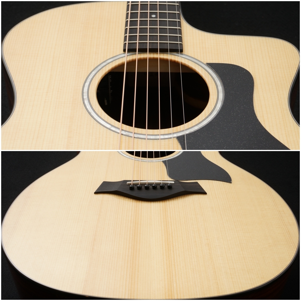 Taylor 214ce Plus 【動画あり】【48回無金利】【トリファイド