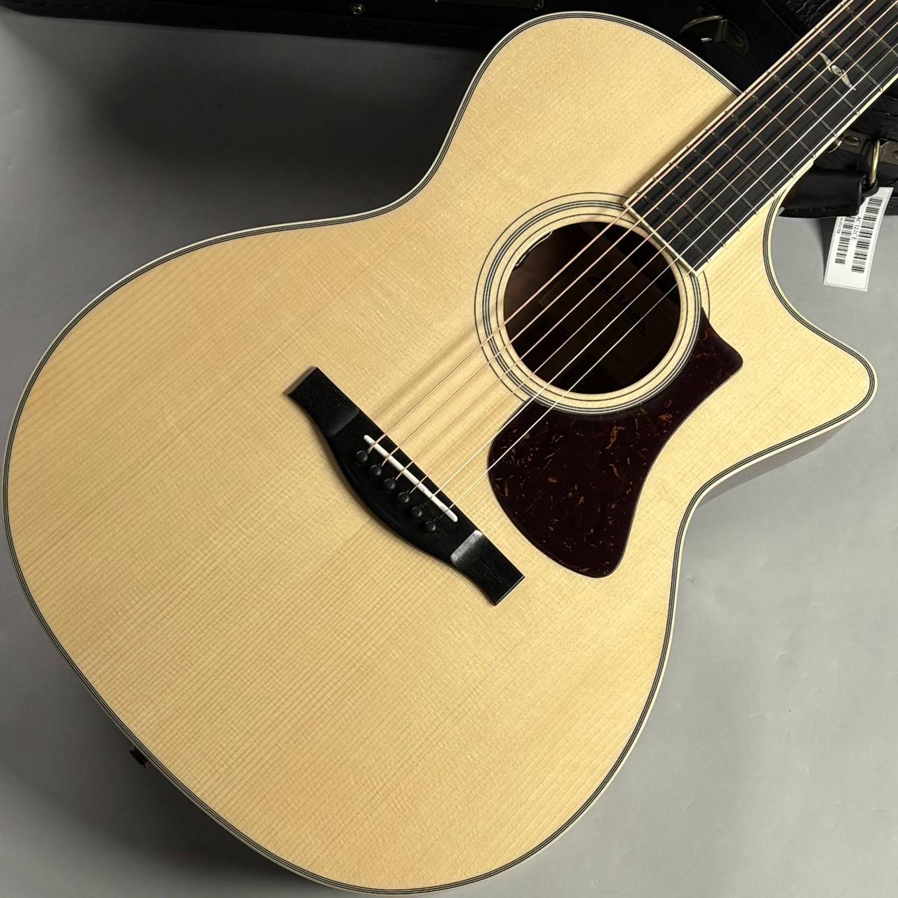 Eastman AC322CE エレアコ オール単板 L.R.Baggsピックアップ搭載