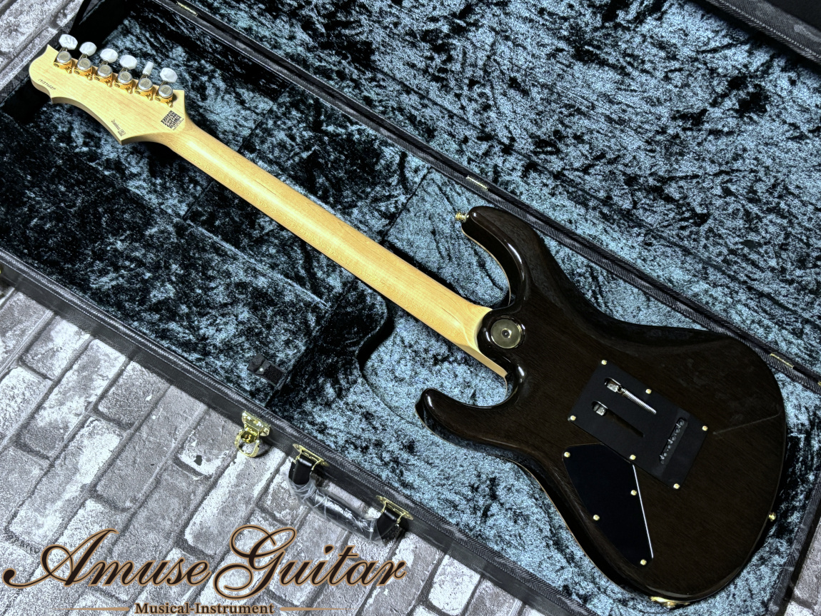 FREEDOM CUSTOM GUITAR RESEARCH Hydra 2Point 24F Premium Grade