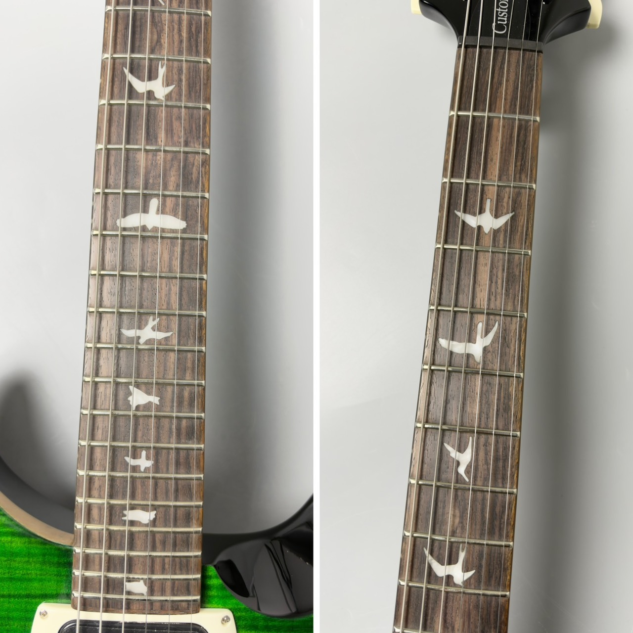 Paul Reed Smith(PRS) SE Custom 24 -Emerald Green-#CTI H014461