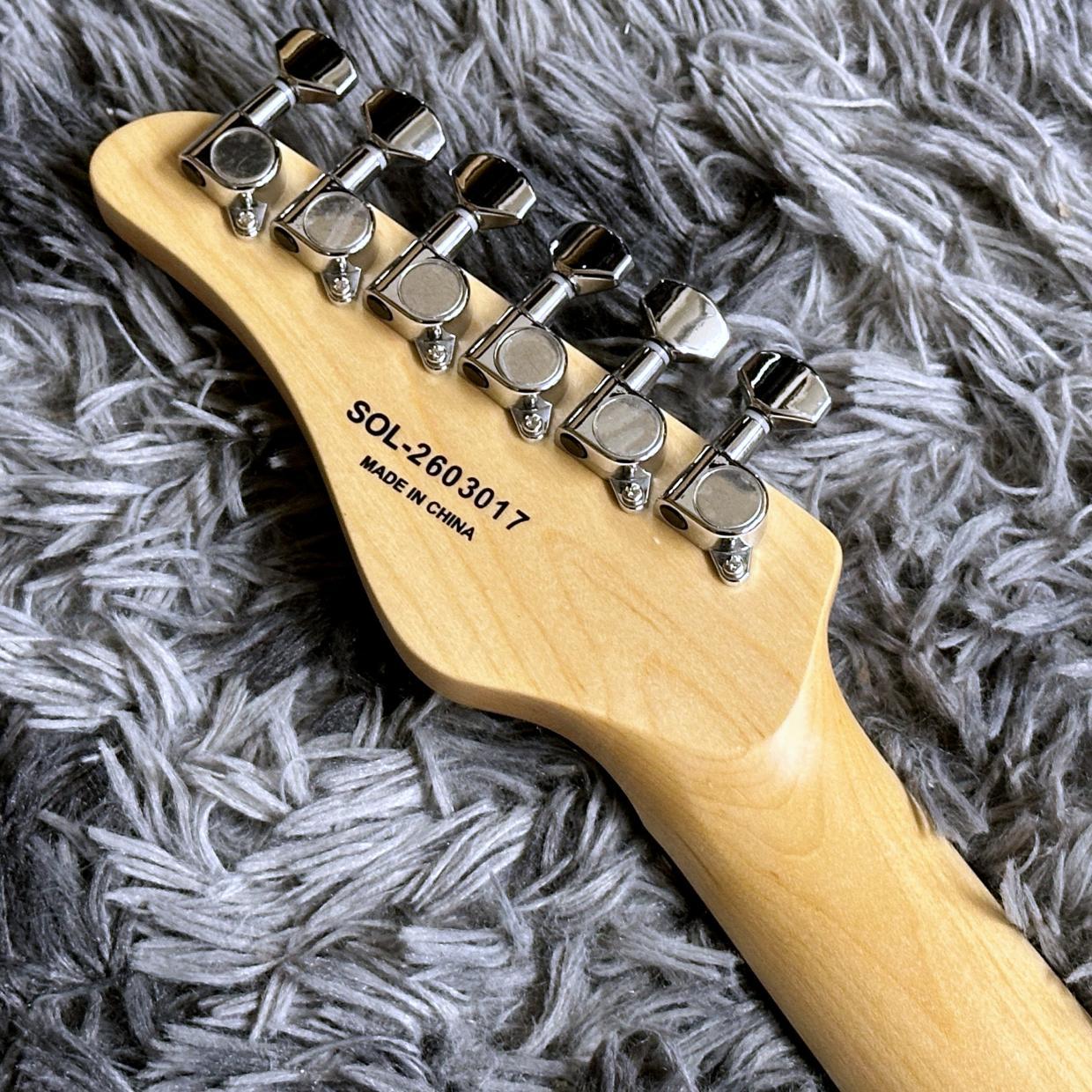 SCHECTER OL-FL-N-2 SNTL (Satin Natural)（新品/送料無料）【楽器検索