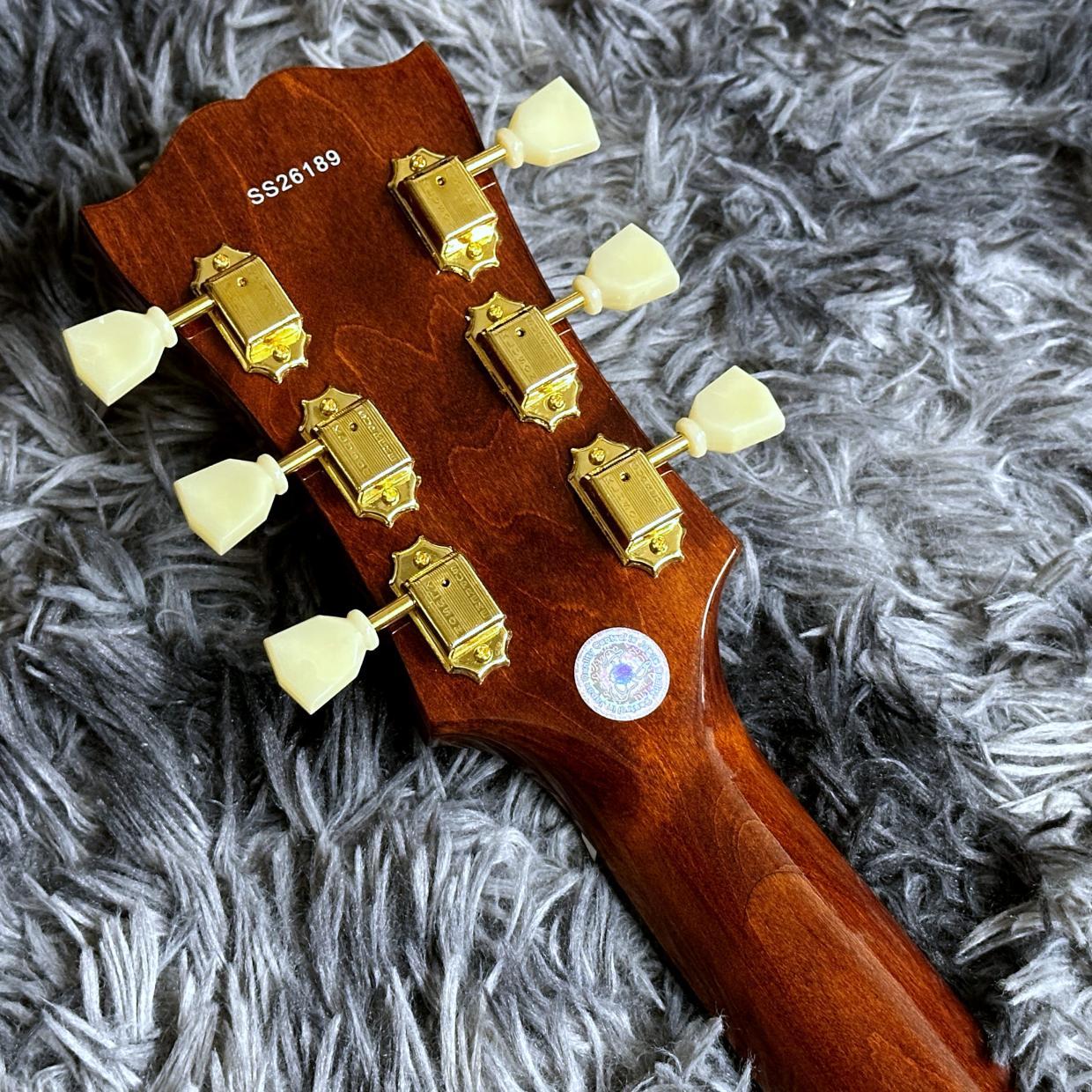 Seventy Seven Guitars ALBATROSS-JAZZ-JT ZR NA（新品/送料無料