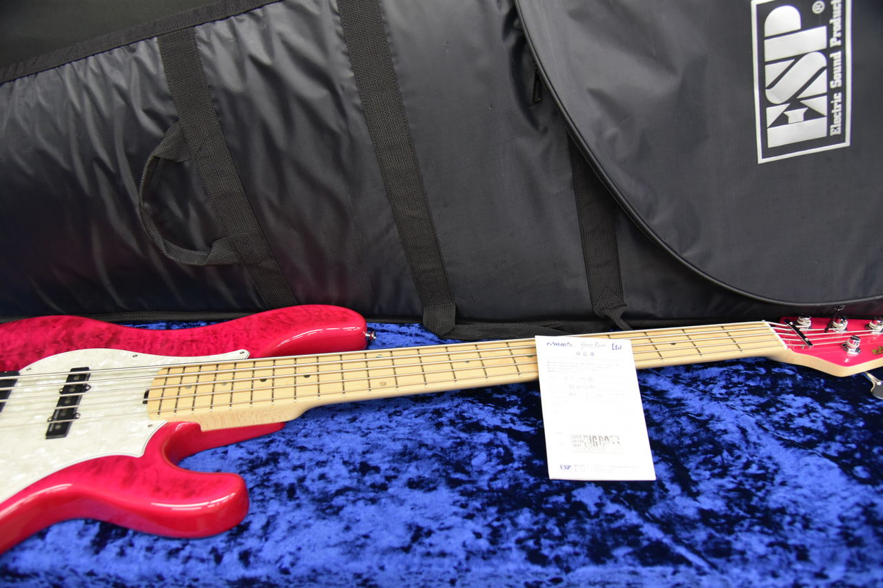 EDWARDS E-T-170BD See Thru Pink L'Arc～en～Ciel tetsuya