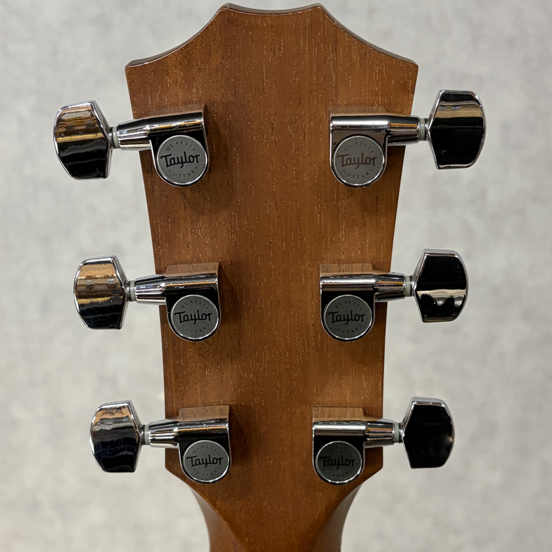 Taylor 314ce Japan Limited Koa ES1【加古川店】（中古/送料無料
