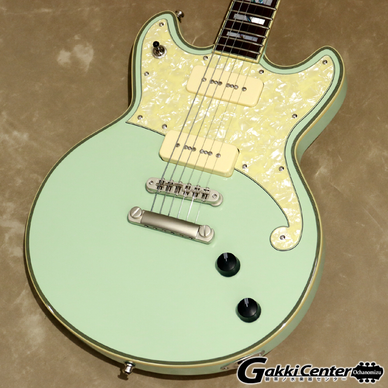 D'Angelico Deluxe Brighton Limited Edition, Sage（新品特価/送料 ...
