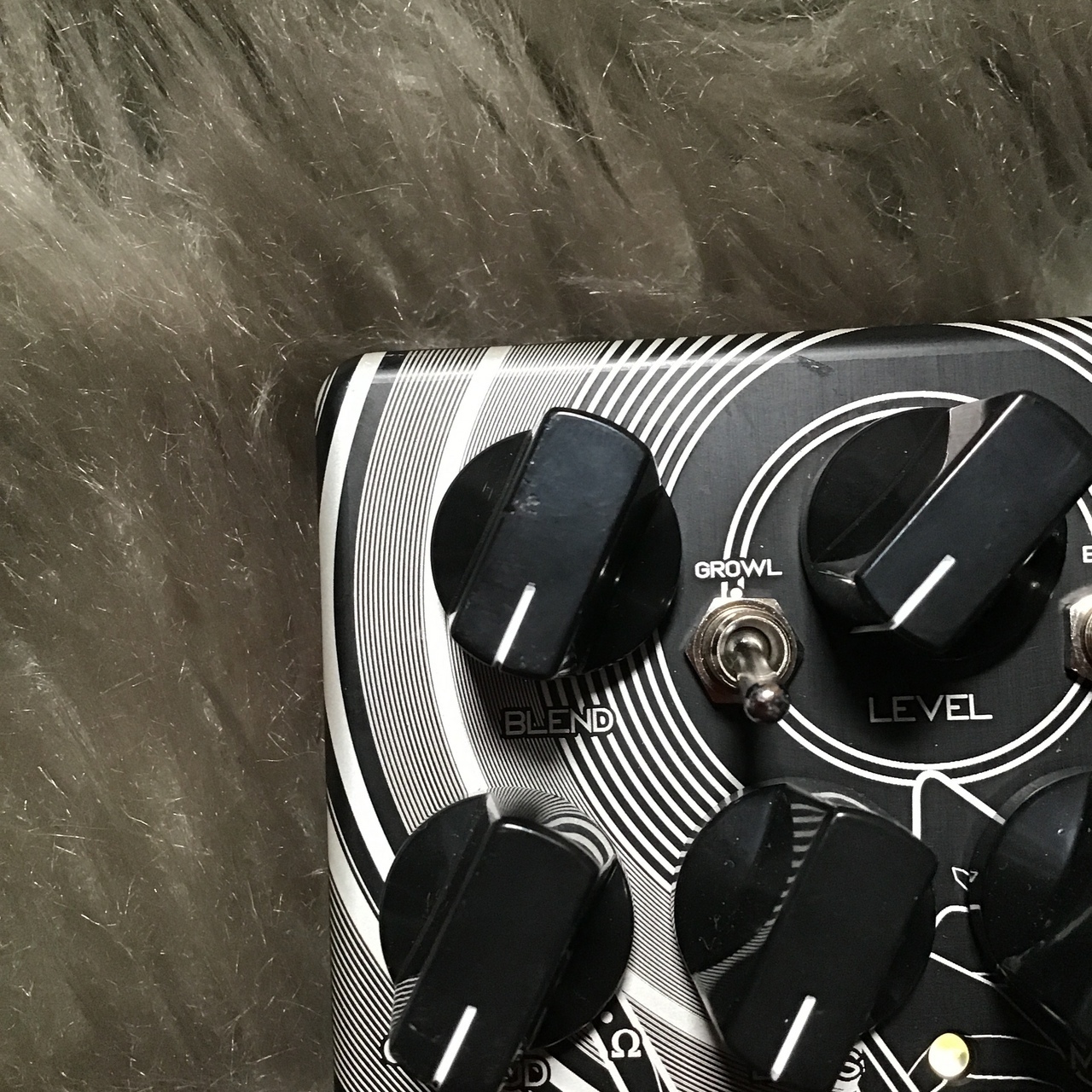 Darkglass Electronics Alpha Omega EVA JPN（新品特価/送料無料