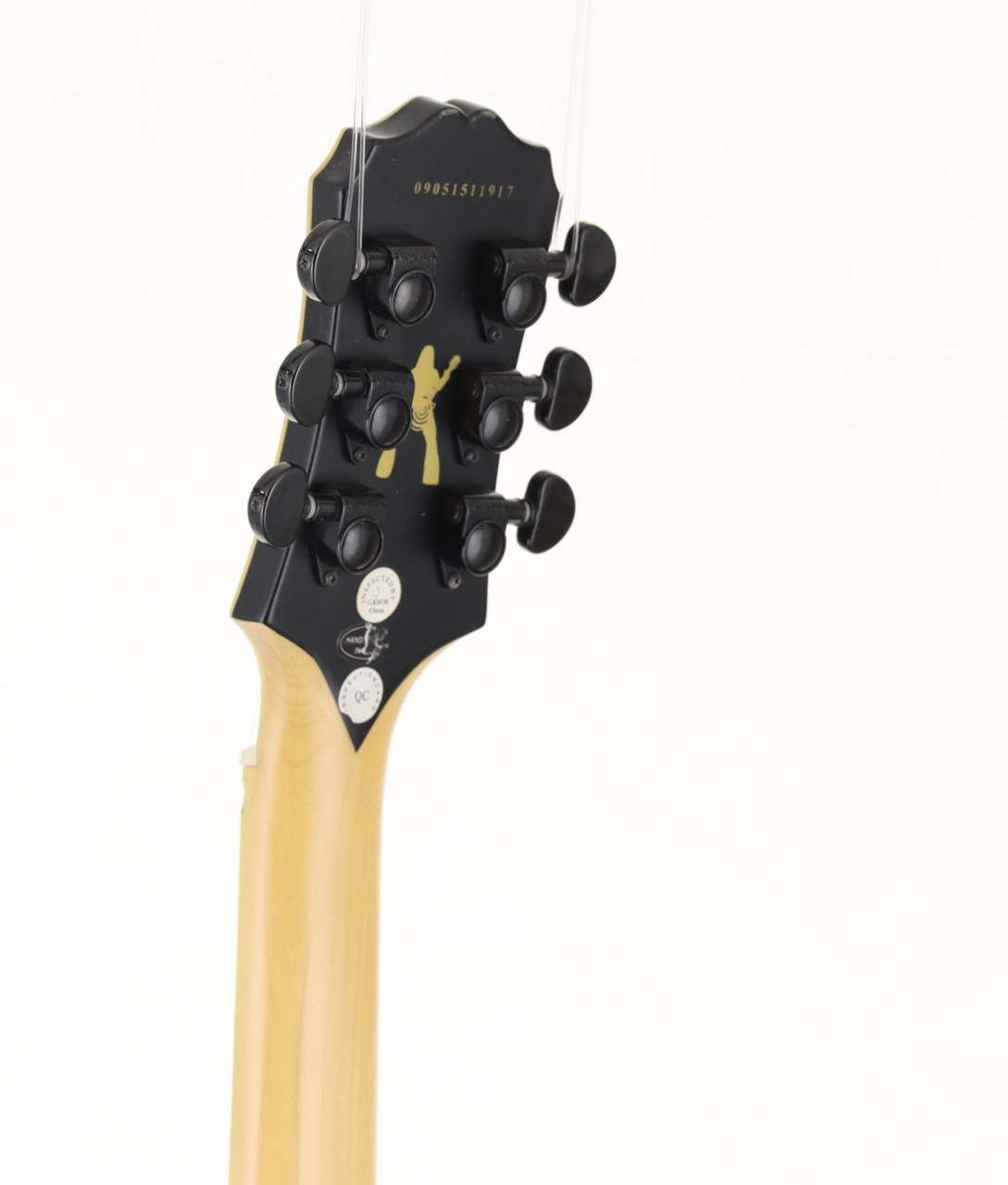 Epiphone Zakk Wylde ZV Custom Ebony [3.6kg/2009年製] エピフォン