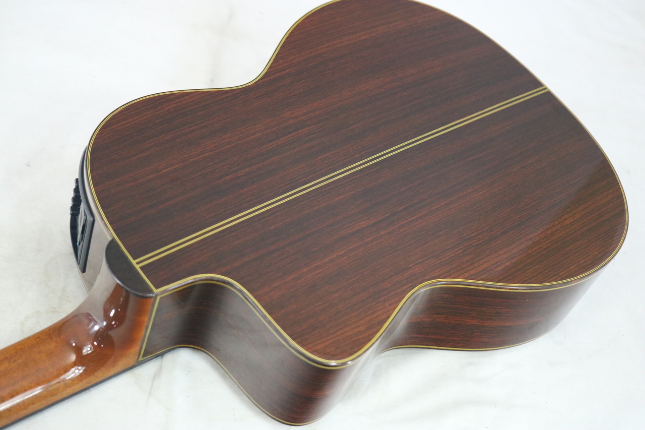 Takamine NPT-315（中古）【楽器検索デジマート】