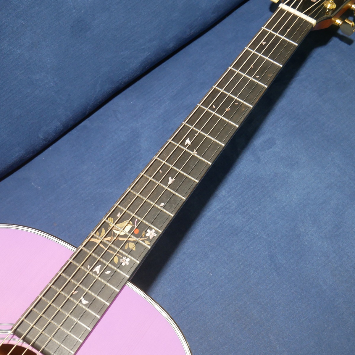 Headway HJ-桜仙峡'26/ATB / PPS-GRD (Pale Purple Sakura Gradation