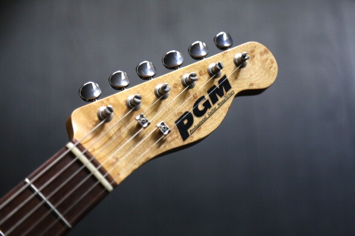 PGM TELE-GIB model （中古）【楽器検索デジマート】