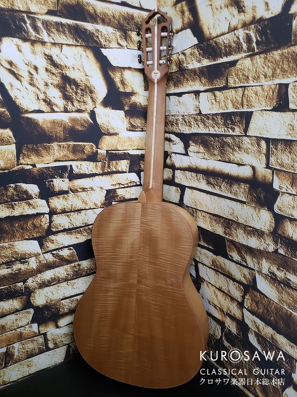 Karl Hofner カール・ヘフナー Green Line HM83 松・フレイムメイプル