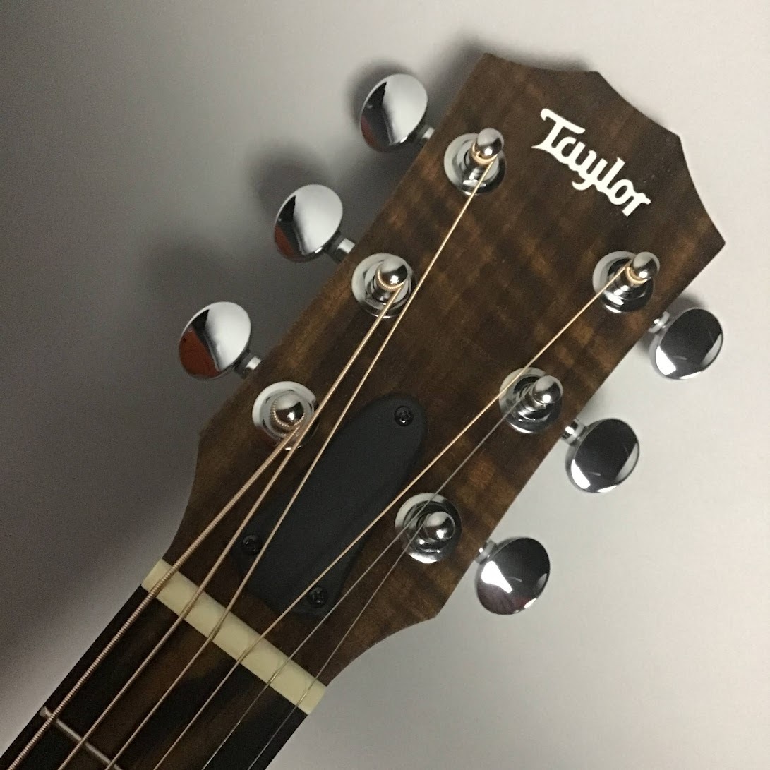 【美品】Rosewood ミニアコースティックギター RD-6836 音音 DT1S NTS (Natural Spruce) アコースティックギター初心者12点