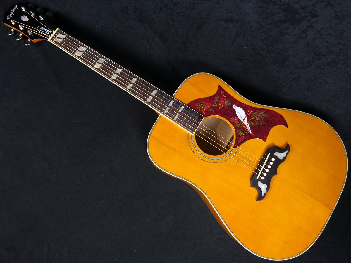 Epiphone Dove Studio Natural（新品）【楽器検索デジマート】