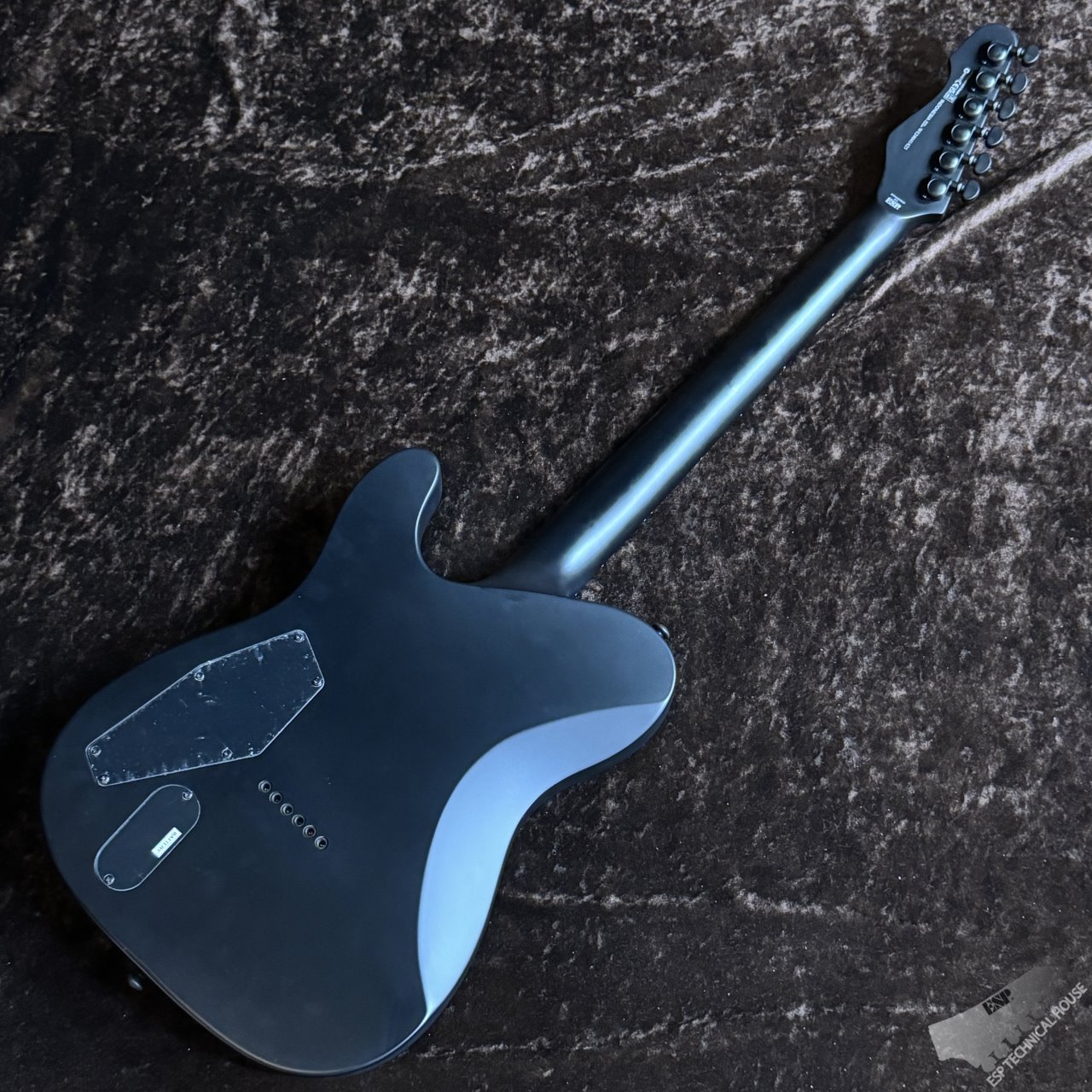 TE-401 - The ESP Guitar Company