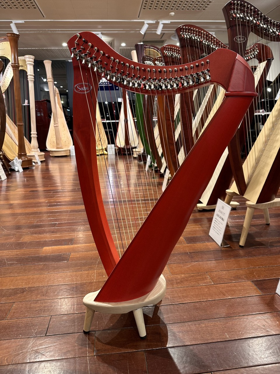 Salvi Harps JUNO25 ジュノ 25弦 [リュック付属] 小型ハープ