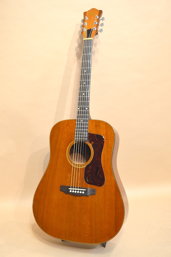 GUILD アコースティック ギター D25 GUILD D-25M|ドルフィンギターズ