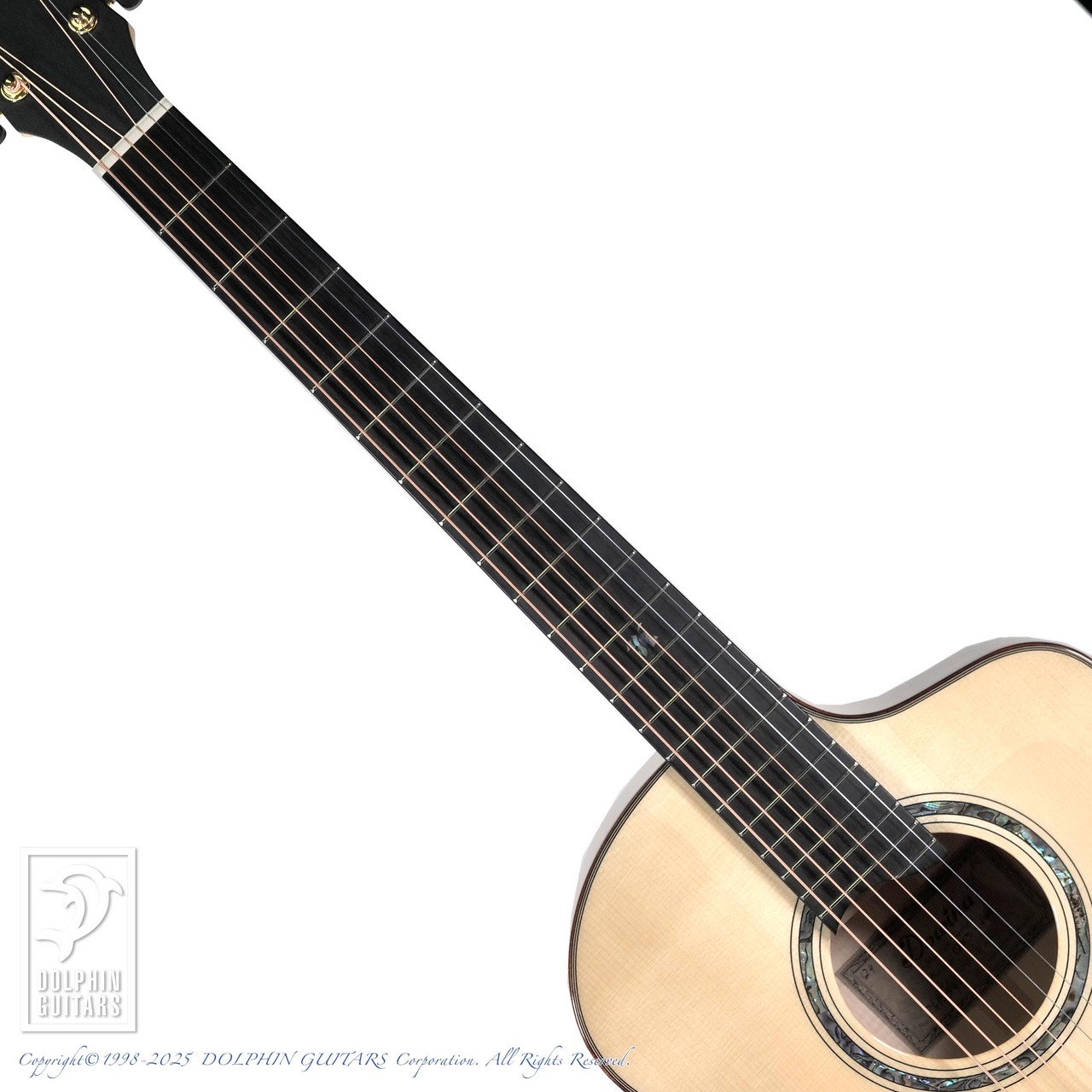 Dowina ACERO-GAC-SWS（新品）【楽器検索デジマート】