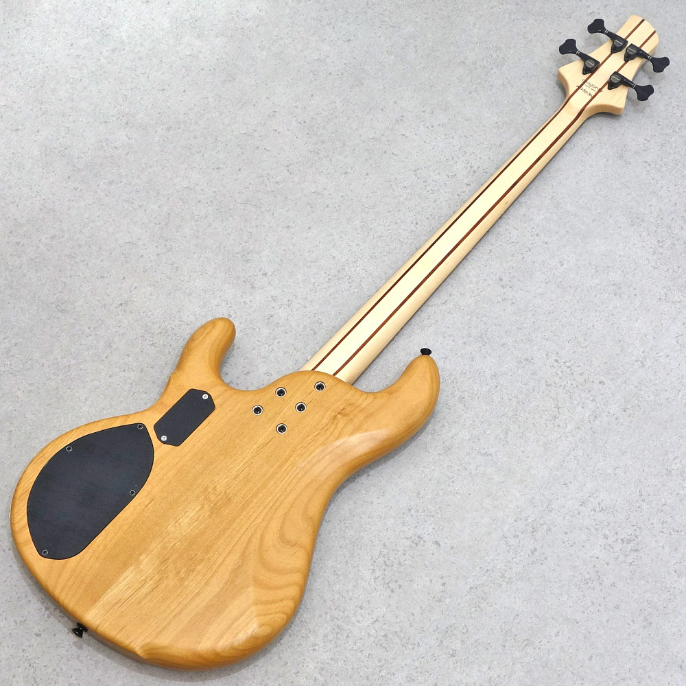 dragonfly CS4 Custom Buckeye Burl/Alder Blue Resin 【48回まで分割