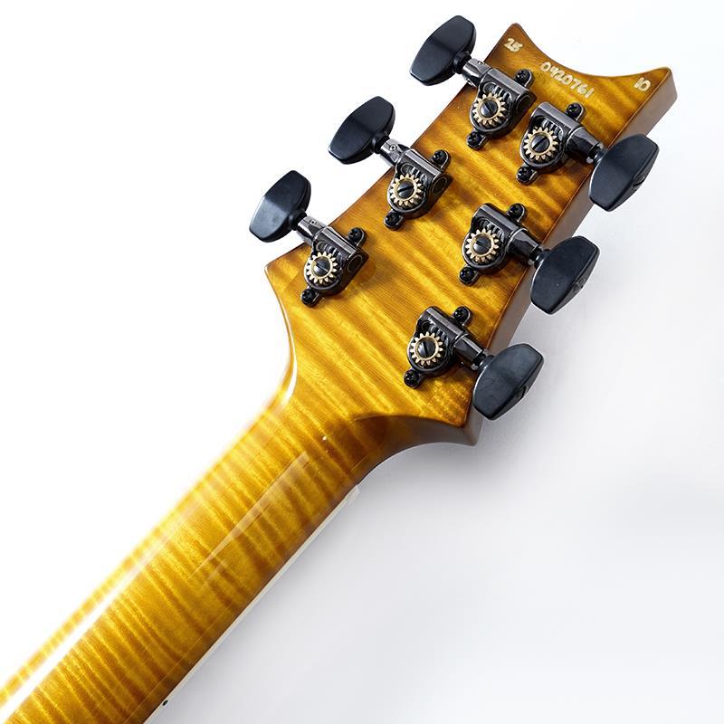 Paul Reed Smith(PRS) Wood Library McCarty 594 Semi-Hollow (McCarty