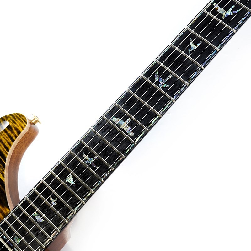 B2takes! ギリギリ☆ファイティング Paul Reed Smith(PRS) Ikebe Original Wood Library Custom24 McCarty