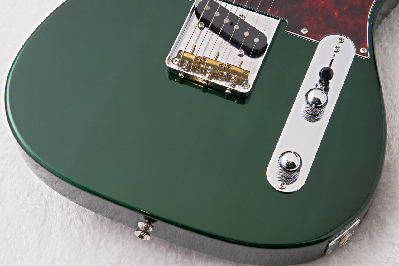 FUJIGEN(FGN) NTE100RAL -Candy Apple Green-【3.54kg】【日本製