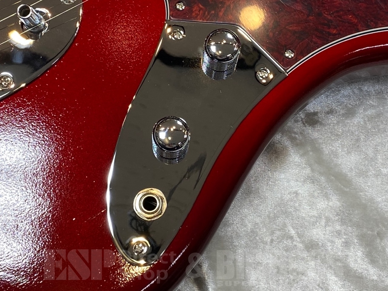EDWARDS Platinum Edition Platinum Edition E-JG SGZ Custom -JGM