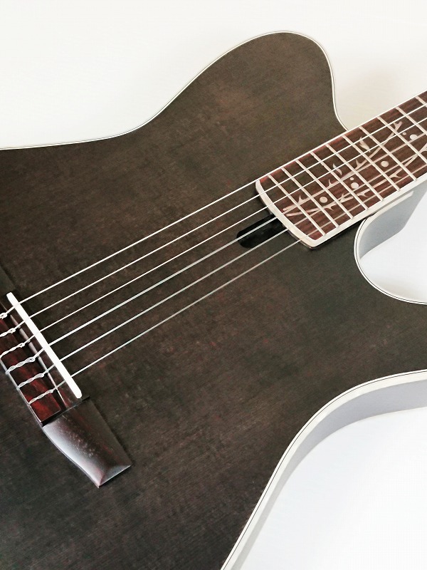 Ibanez 【Polyphia Tim Hensonシグネチャーモデル】TOD10N