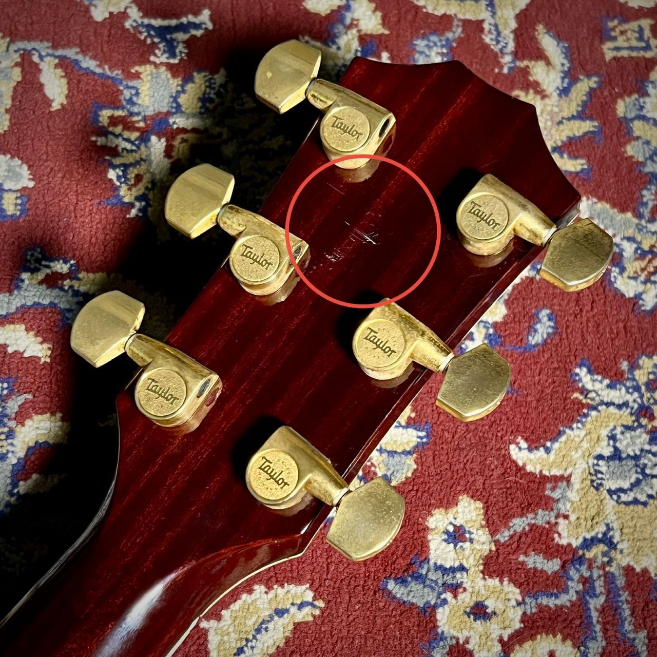 Taylor T5-C4 Limited Edition/ Walnut Top（中古/送料無料）【楽器  