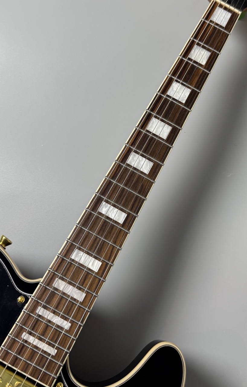 Bacchus BTLC-1-RSM/R -Black-（新品）【楽器検索デジマート】