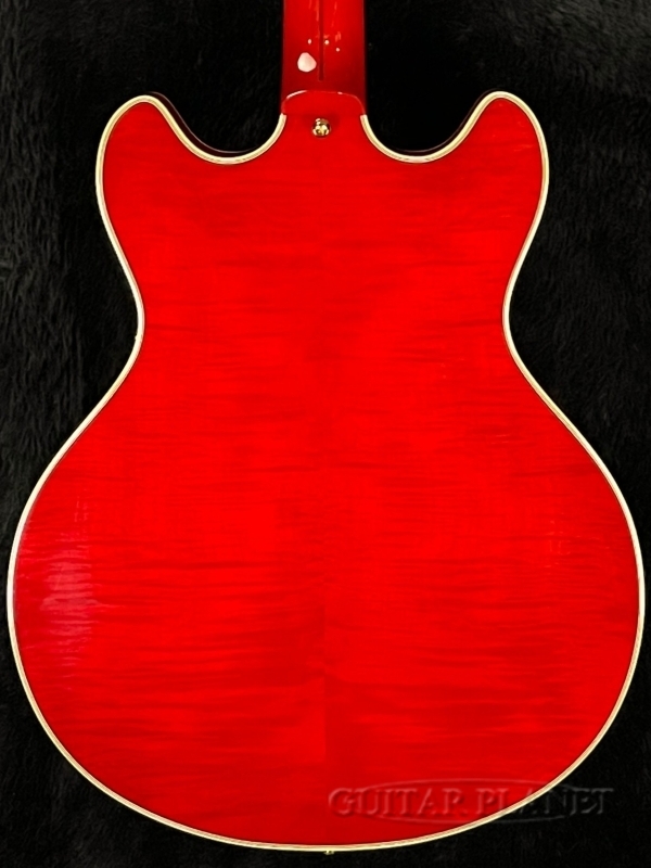 D'Angelico Excel DC -Trans Cherry-【Duncan P.U】【コイルタップ