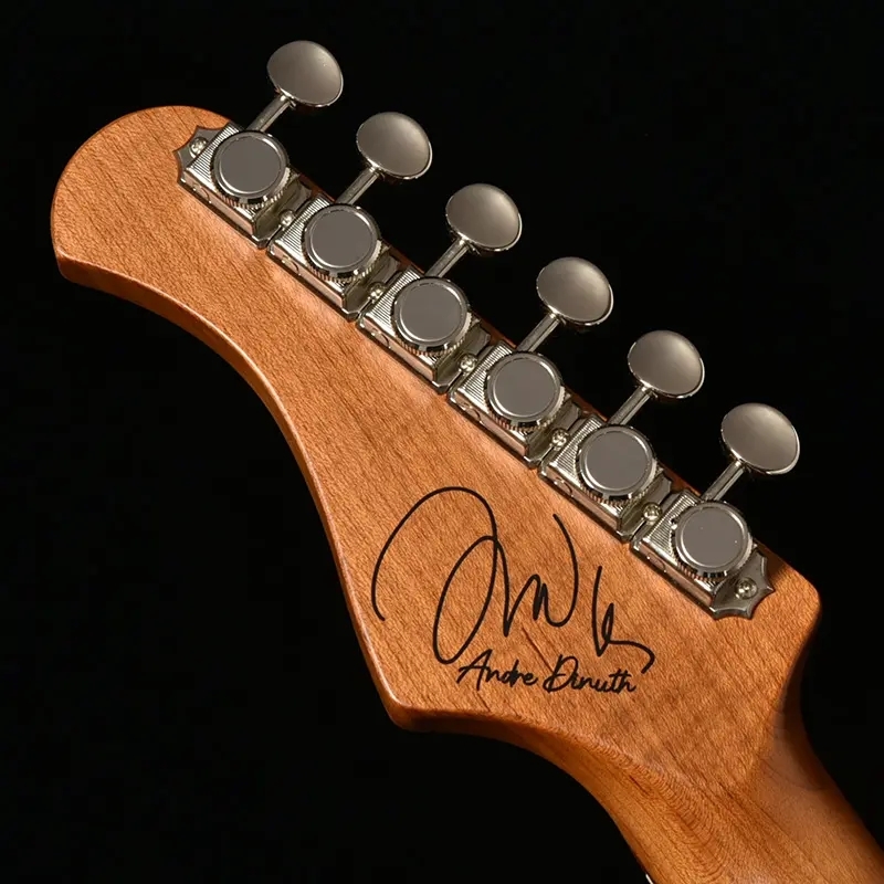 Bacchus アンドレ・ディヌス シグネチャーモデル バッカス TAC24AD-FMH