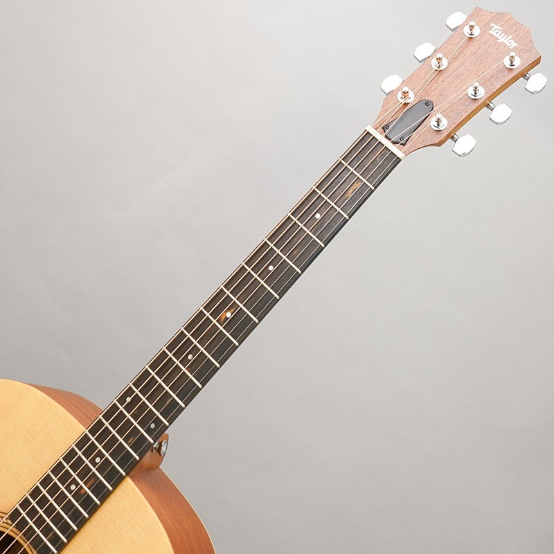 Taylor Academy 10 テイラー（新品）【楽器検索デジマート】