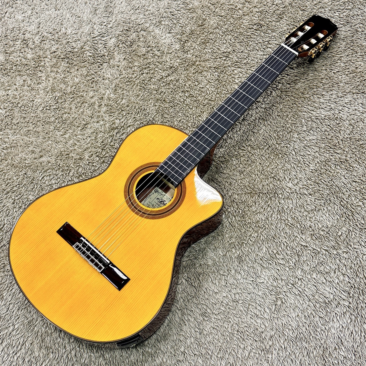 ARIA A-35SCE 【杉 / シダー単板】【エレガット】（新品/送料無料