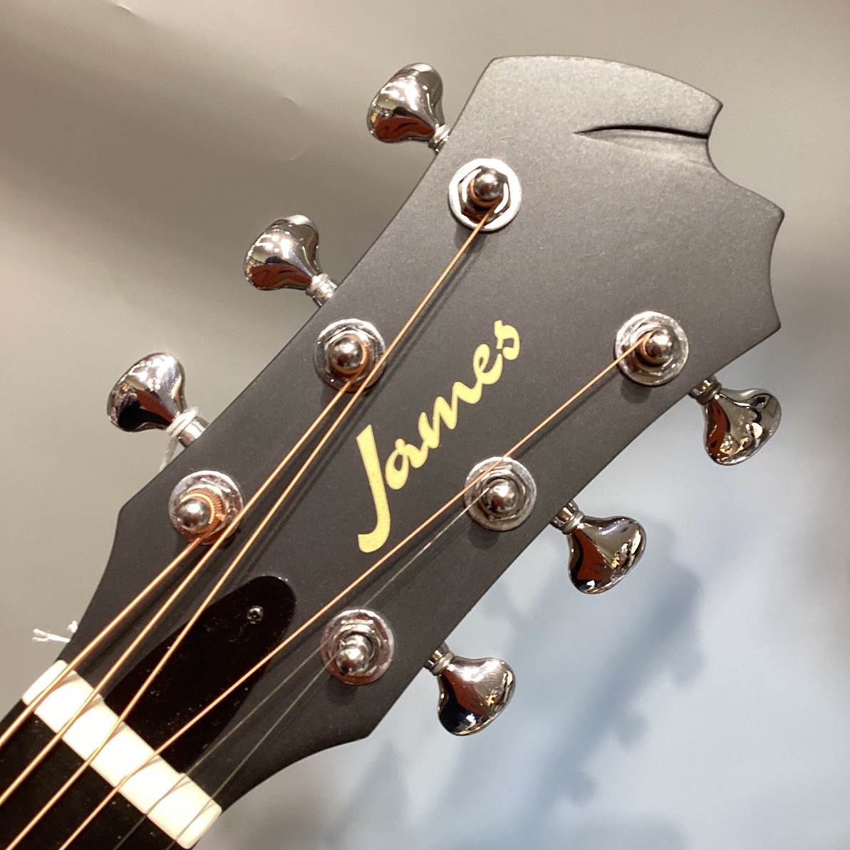James J-100A SPT アコースティックギター ギグケース付属 スプルース