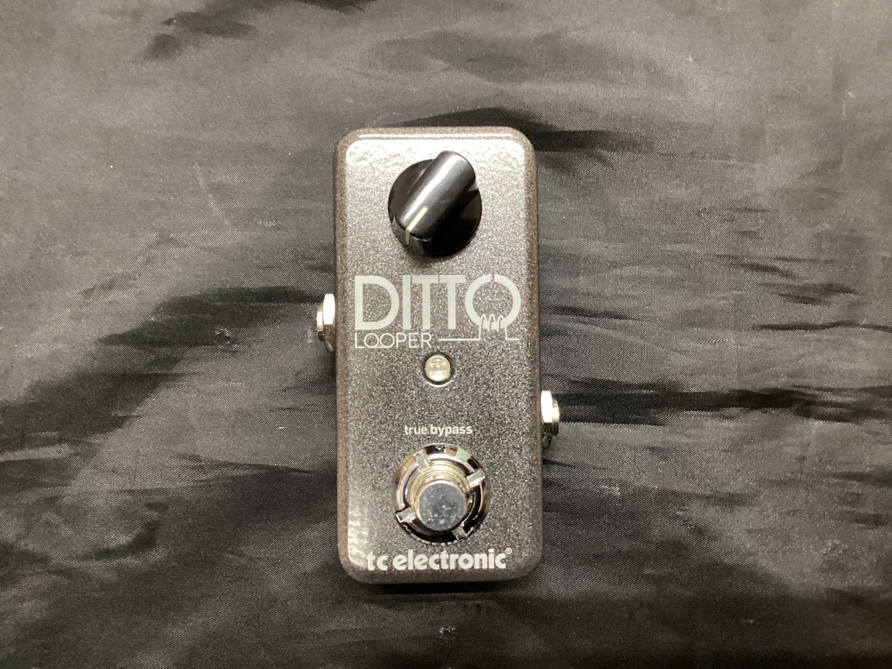 tc electronic DITTO LOOPER（中古）【楽器検索デジマート】