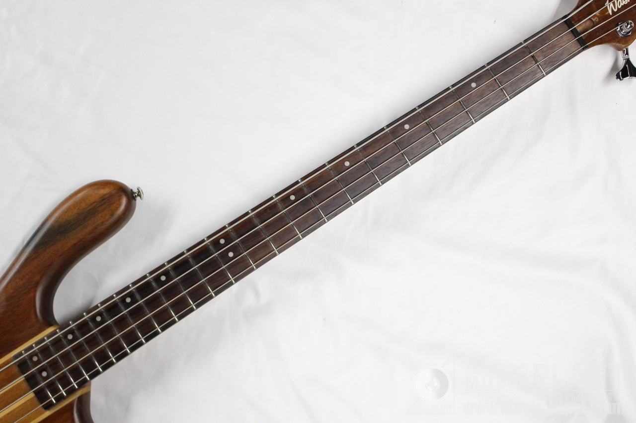 Washburn Taurus T24 エレキベース 4弦 WASHBURN T24 bass guitars