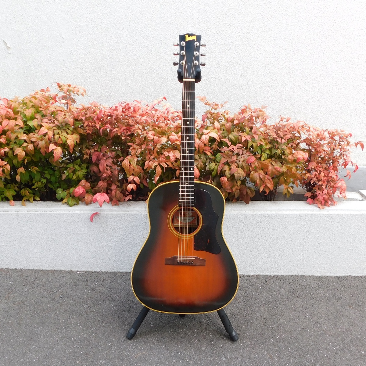 Burny BJ-60（中古）【楽器検索デジマート】