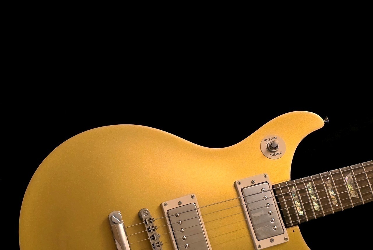 Epiphone Tak DC Goldtop ハードケース付き Epiphone Tak DC Goldtop
